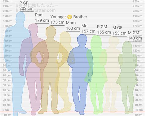 176cm 155cm|Height Converter